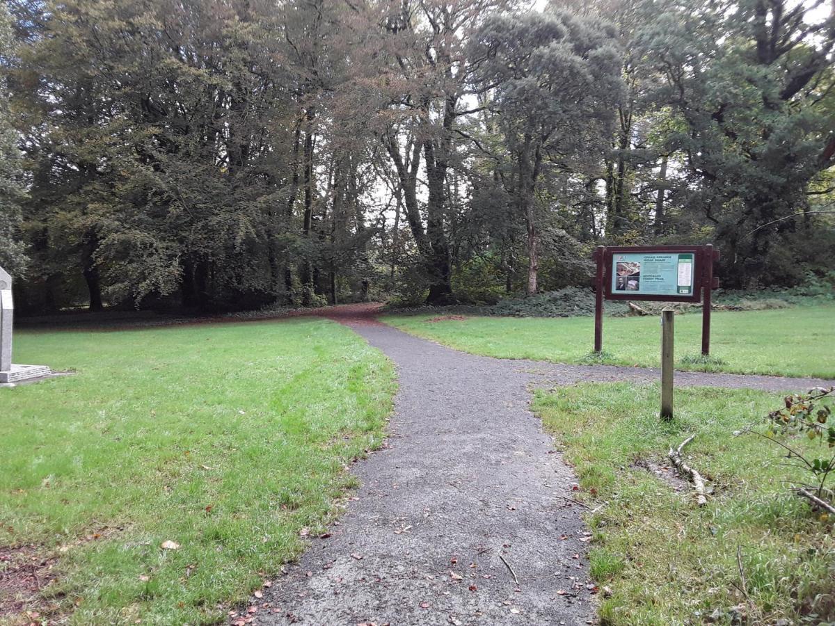 Meadowbrook Studio Rathdrum Eksteriør billede